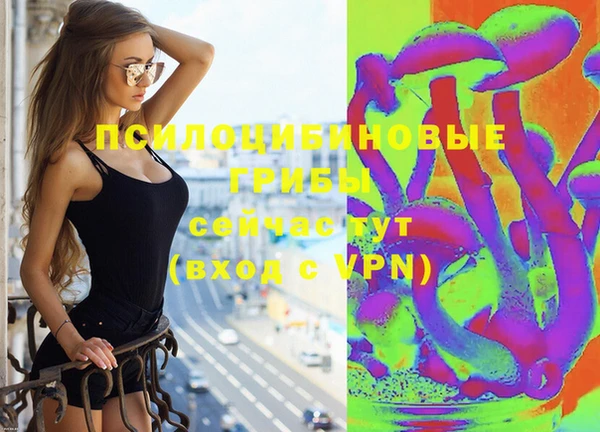 бутират Горняк