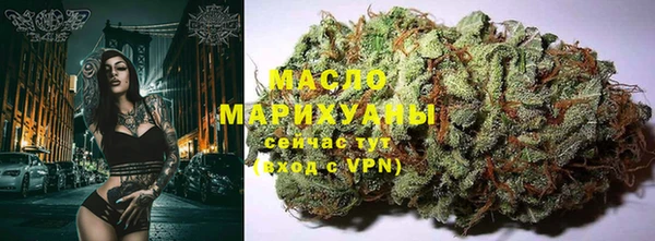 стаф Вяземский