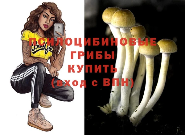 хмурый Гусь-Хрустальный