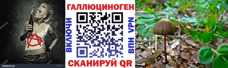 магазин продажи   Звенигород  Галлюциногенные грибы Magic Shrooms 